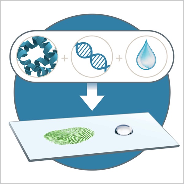 Representations of protein, DNA, and a liquid drop combined and added to fingerprint slide