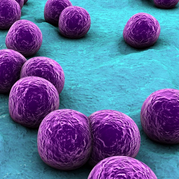 False color image of pathogens