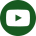 a white youtube logo in a green circle