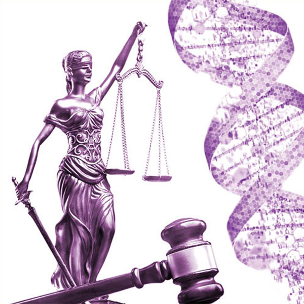 Lady justice, a gavel, and a DNA helix