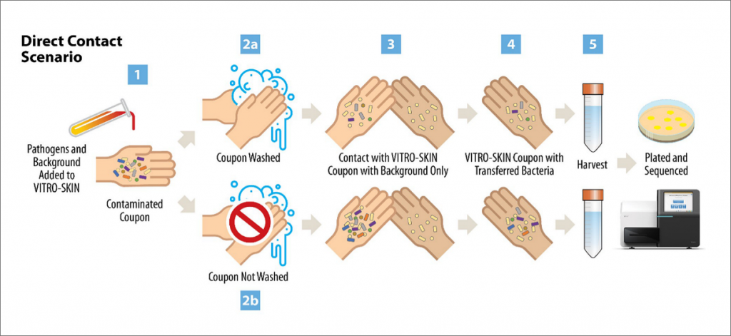 Illustration of an experimental process flow.