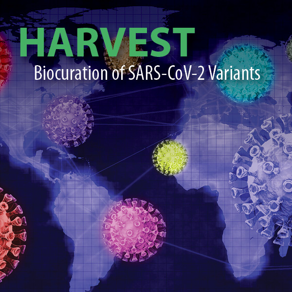 Image of world map with SARS CoV-2 Virus and the text "Harvest: Biocuration of SARS CoV-2 Variants."