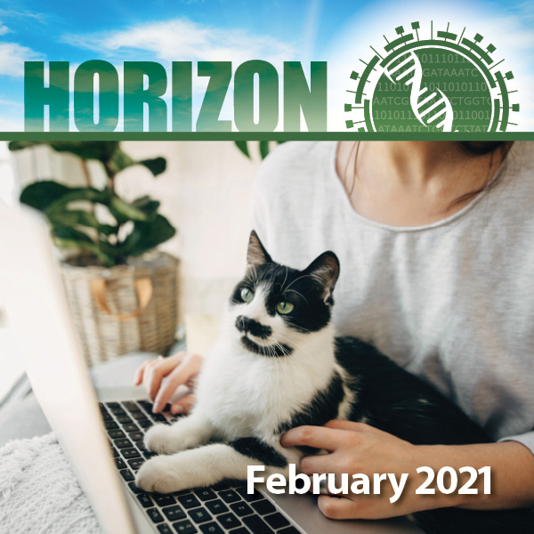 Horizon Newsletter Banner. Photo of person at a laptop with cat in their lap. Text reads "February 2021"