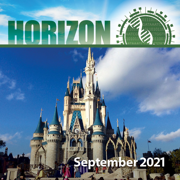 Photo of Disney castle with text "Horizon: September 2021"