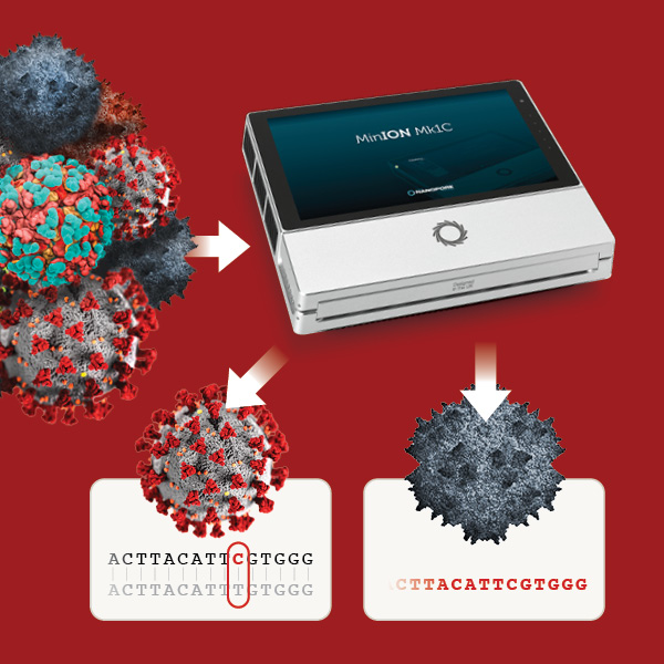 Image of Viruses and the MinION Mk1C Device