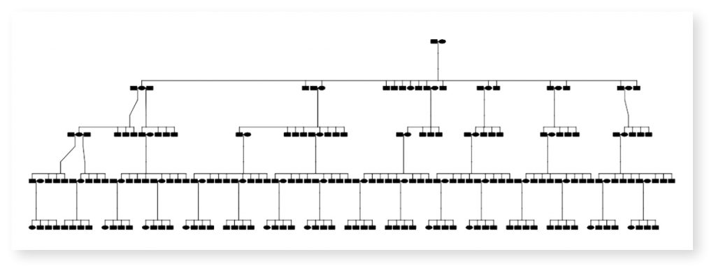 A family tree-style chart showing the pedigree structure for skater simulations