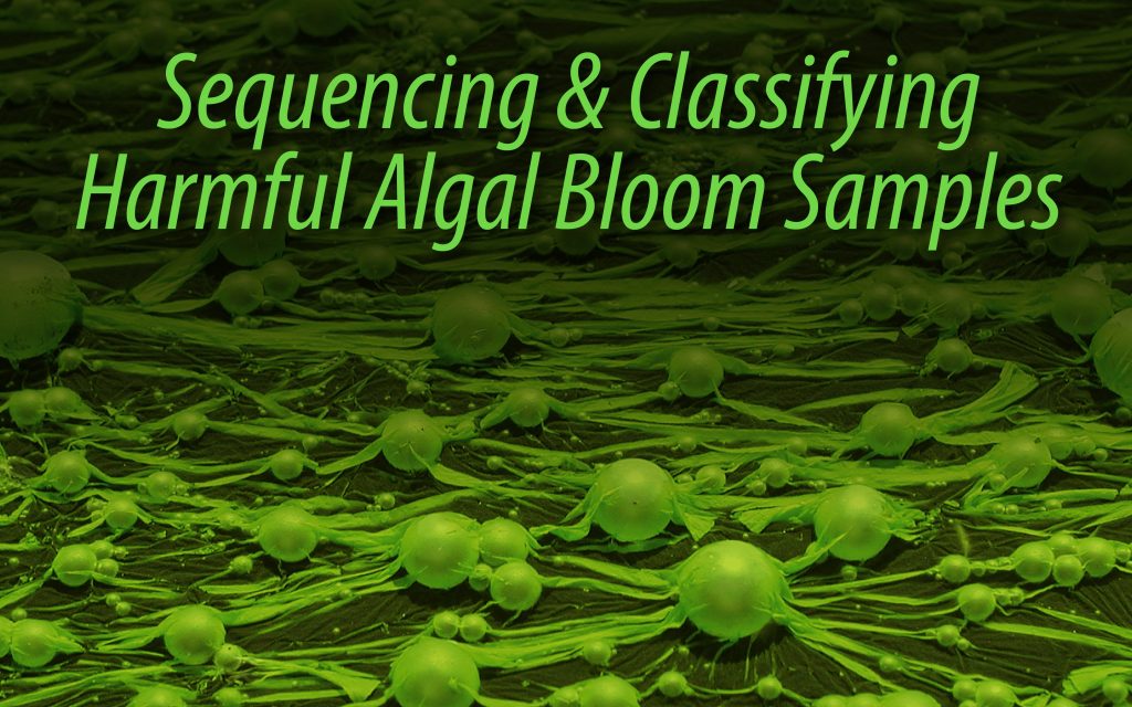 Sequencing and Classiying Harmful algal bloom samples