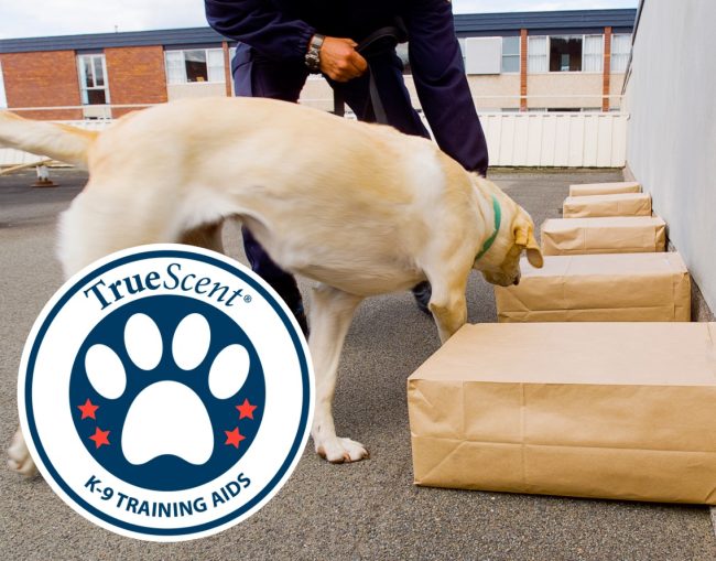 Photo of a handler and his bomb-sniffing dog checking a row of paper bags. A TrueScent: K-9 Training Aids logo overlays the photo.
