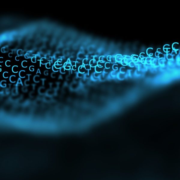 DNA helix made up of the letters C, T, A, and G.