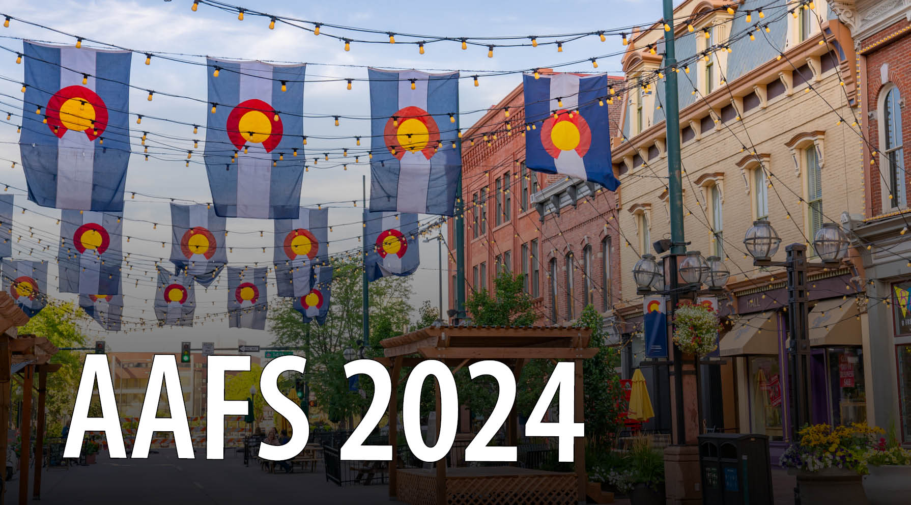 image of colorado flags over denver street. Text reads AAFS 2024