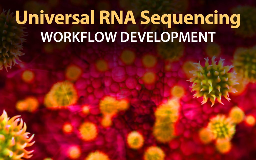 Uniersal RNA Sequencing: Workflow development
