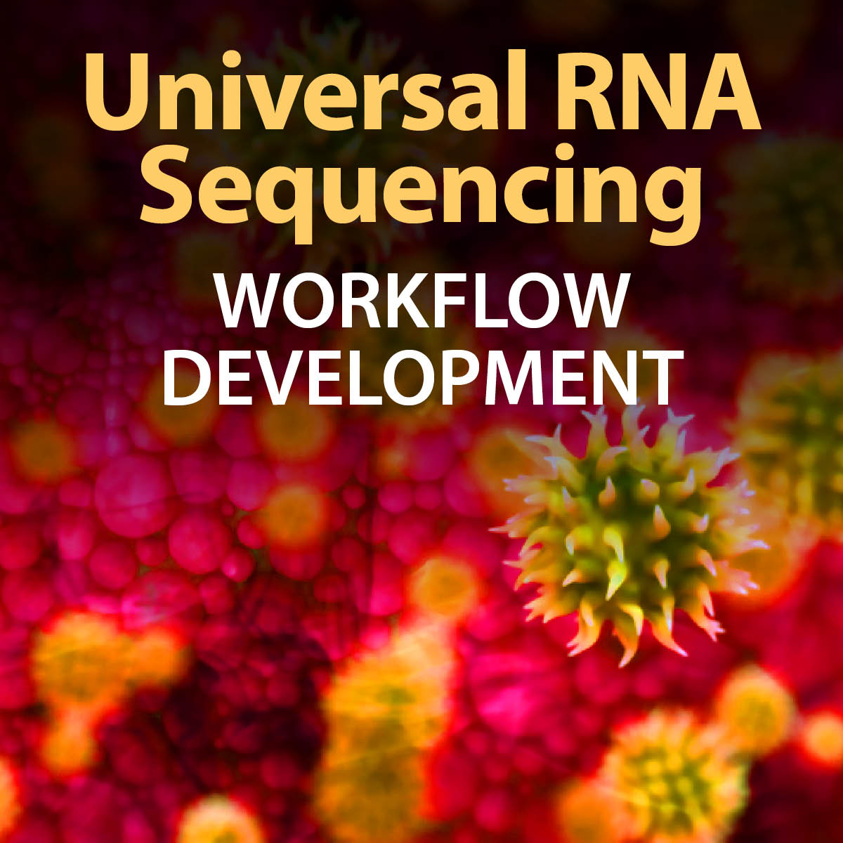 universal RNA sequencing: Workflow Development