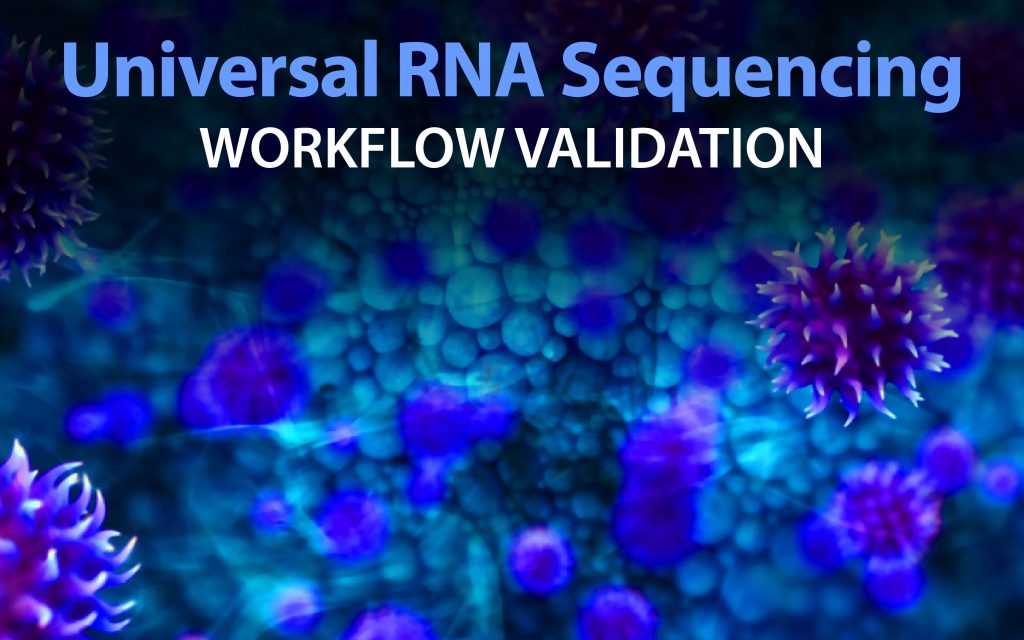 Universal RNA sequencing: Workflow validation