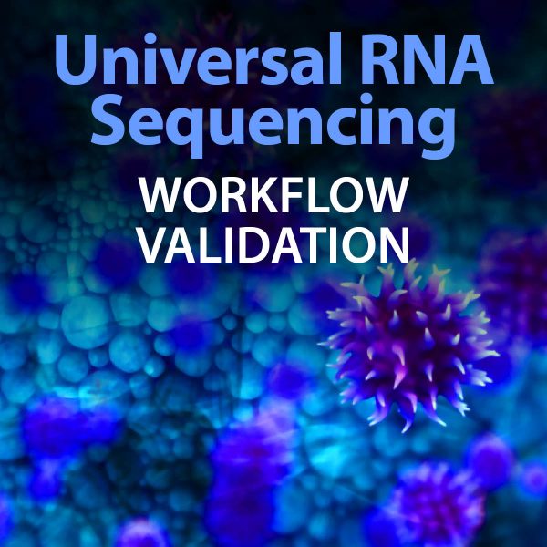 Universal RNA sequencing: Workflow validation
