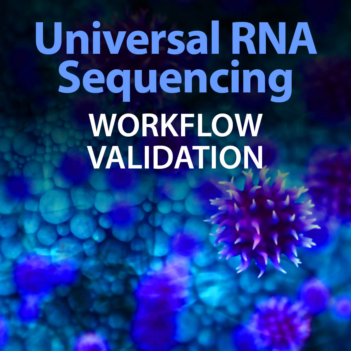 Universal RNA sequencing: Workflow validation